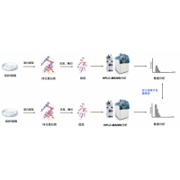 Label Free定量蛋白質組學